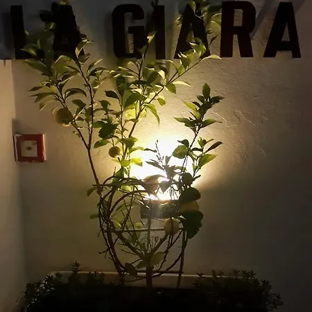 La Giara